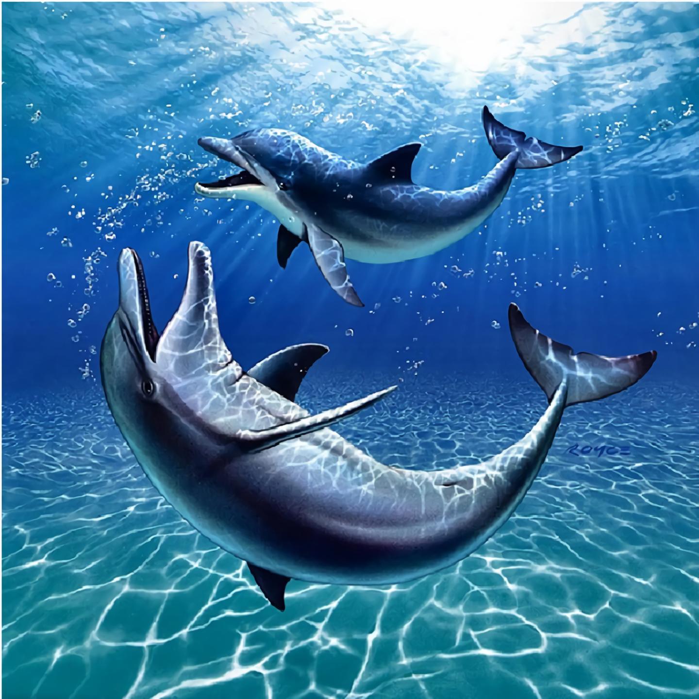 Dolphin  MyCraftsGfit - Free 5D Diamond Painting mycraftsgift.com