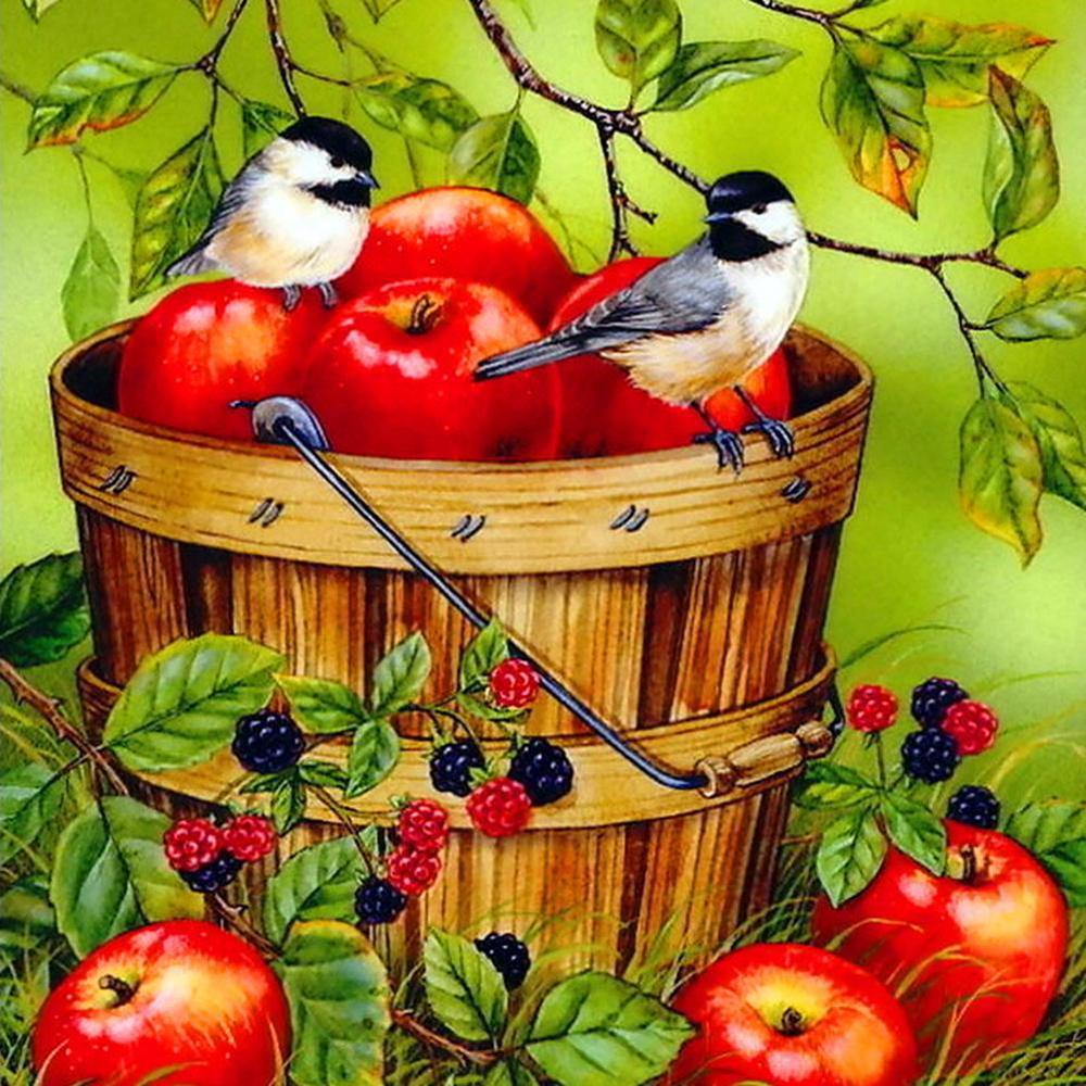 Free Apple and Birds - MyCraftsGfit - Free 5D Diamond Painting