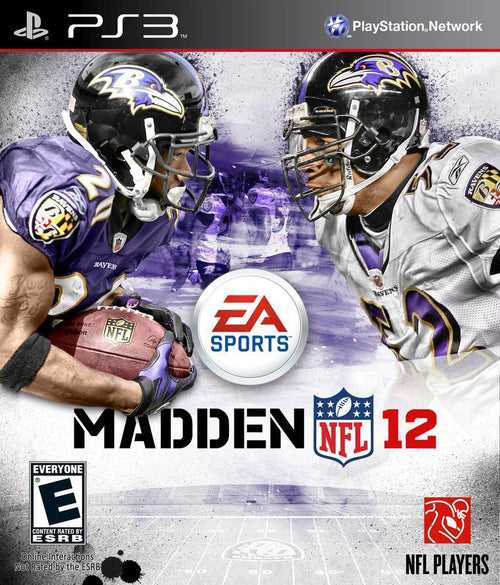 Baltimore Ravens 5D Diamond Painting Kits MyCraftsGfit - Free 5D Diamond Painting mycraftsgift.com