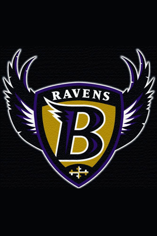 Baltimore Ravens 5D Diamond Painting Kits MyCraftsGfit - Free 5D Diamond Painting mycraftsgift.com