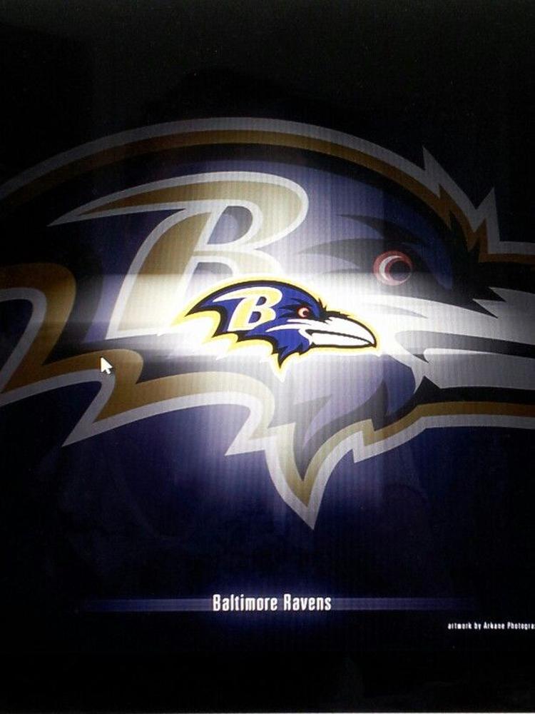 Baltimore Ravens 5D Diamond Painting Kits MyCraftsGfit - Free 5D Diamond Painting mycraftsgift.com