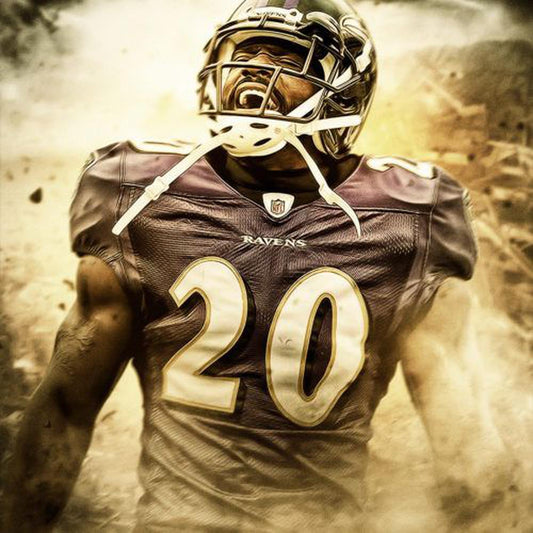 Free Baltimore Ravens - MyCraftsGfit - Free 5D Diamond Painting