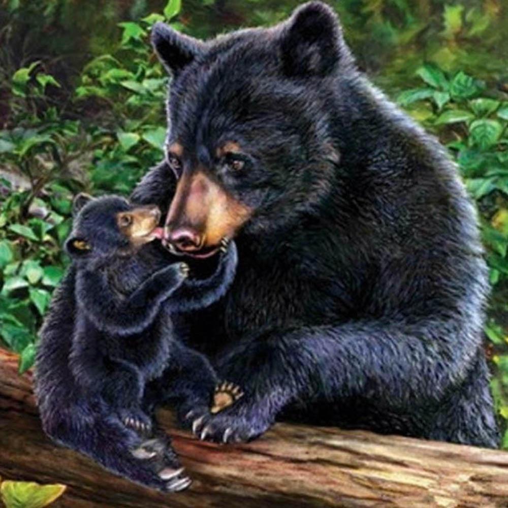 Free Black Bear - MyCraftsGfit - Free 5D Diamond Painting