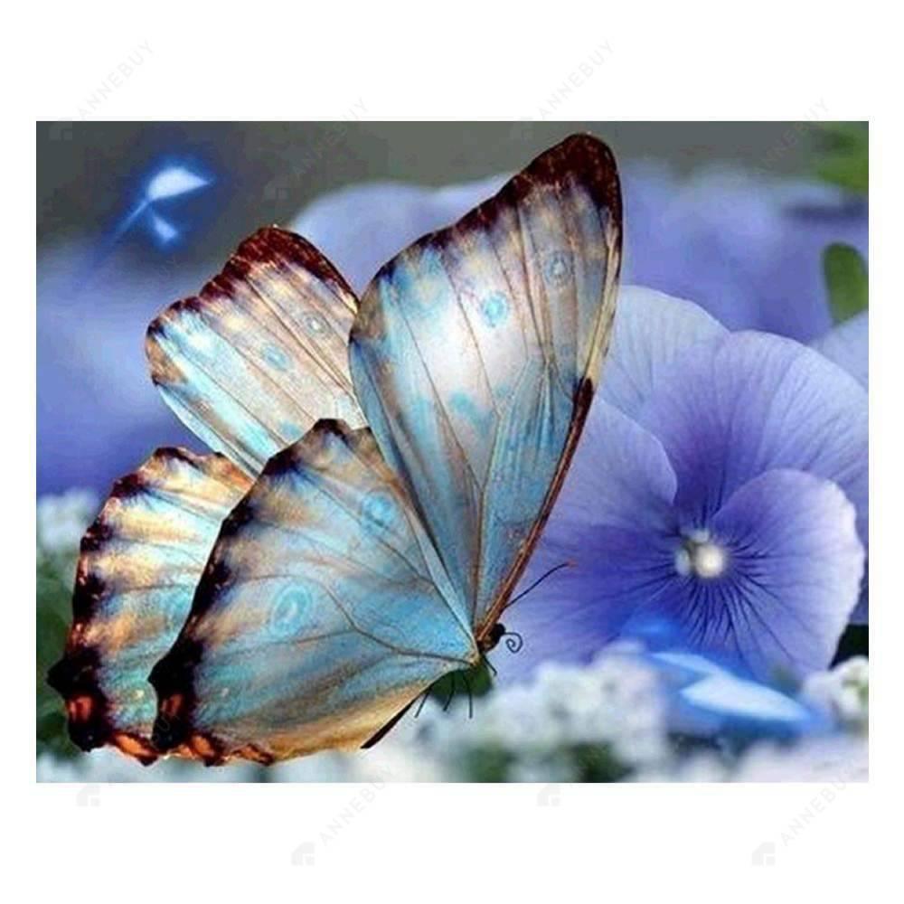 Free Blue Butterfly - MyCraftsGfit - Free 5D Diamond Painting