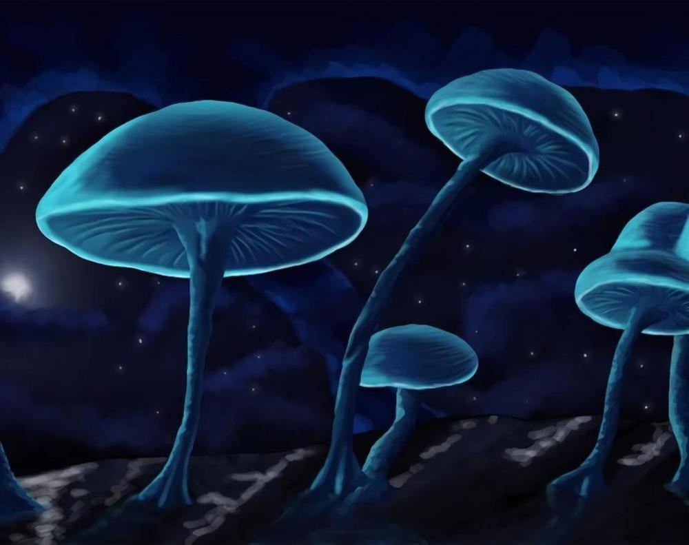 Blue Mushroom - MyCraftsGfit - Free 5D Diamond Painting
