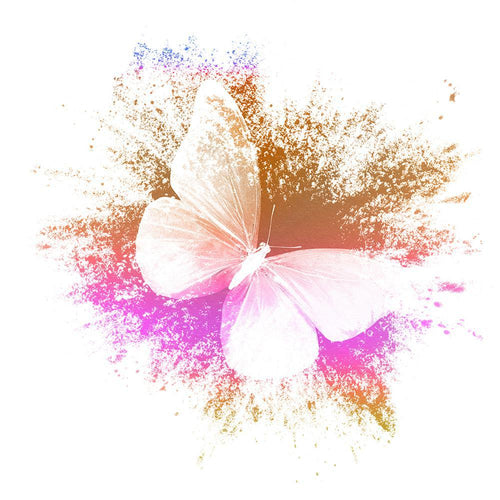 Free Butterfly - MyCraftsGfit - Free 5D Diamond Painting