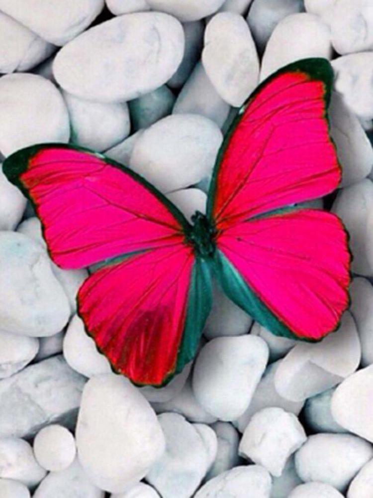 Free Butterfly - MyCraftsGfit - Free 5D Diamond Painting