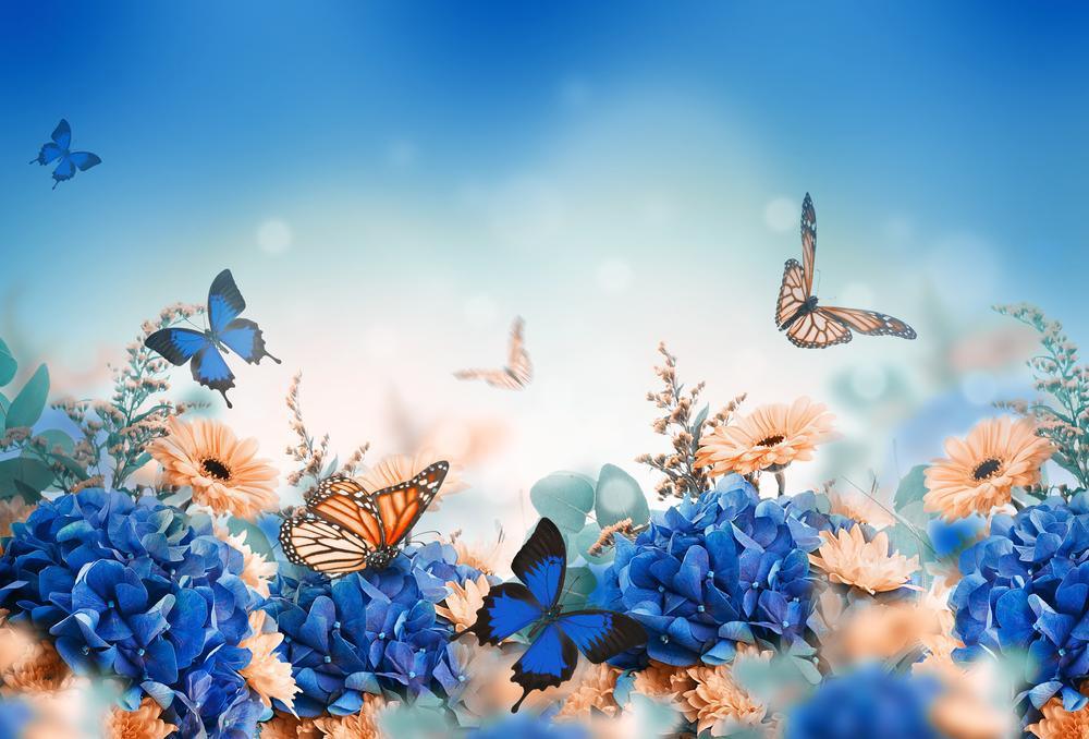 Free Butterfly - MyCraftsGfit - Free 5D Diamond Painting