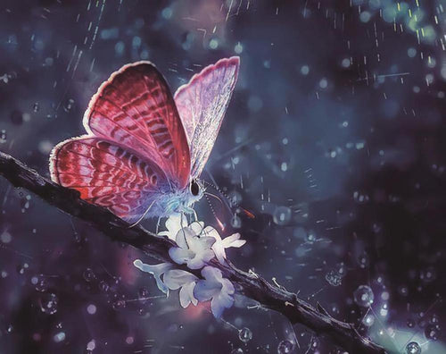 Free Butterfly - MyCraftsGfit - Free 5D Diamond Painting