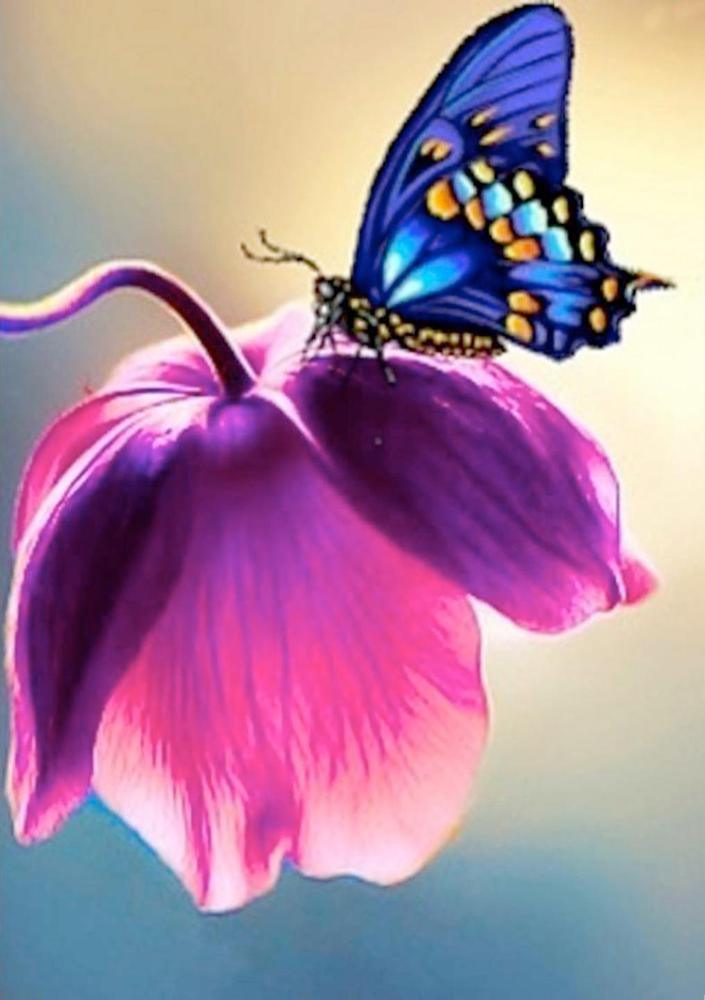 Butterfly Free 5D Diamond Painting Kits MyCraftsGfit - Free 5D Diamond Painting mycraftsgift.com