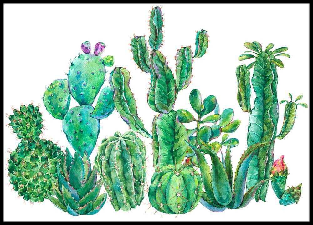 Free Cactus - MyCraftsGfit - Free 5D Diamond Painting