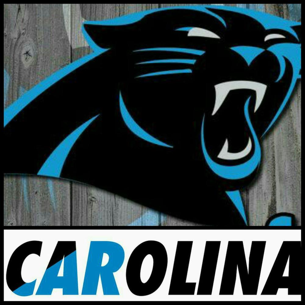 Carolina Panthers 5D Diamond Painting Kits MyCraftsGfit - Free 5D Diamond Painting mycraftsgift.com