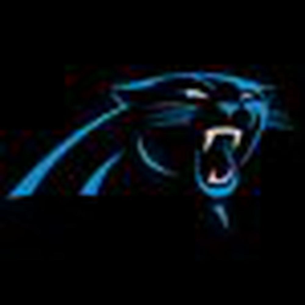 Carolina Panthers 5D Diamond Painting Kits MyCraftsGfit - Free 5D Diamond Painting mycraftsgift.com