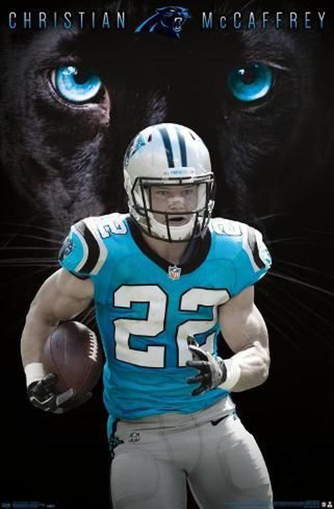 Carolina Panthers 5D Diamond Painting Kits MyCraftsGfit - Free 5D Diamond Painting mycraftsgift.com