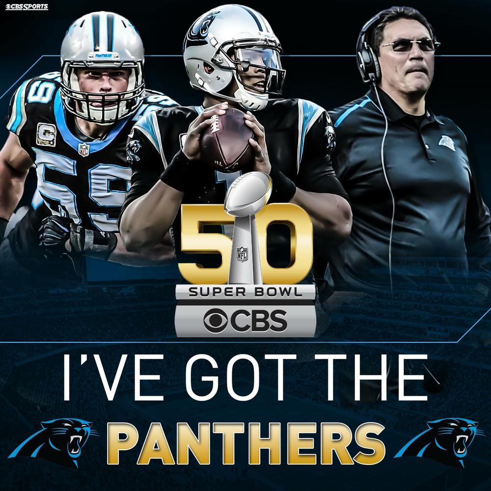 Carolina Panthers 5D Diamond Painting Kits MyCraftsGfit - Free 5D Diamond Painting mycraftsgift.com