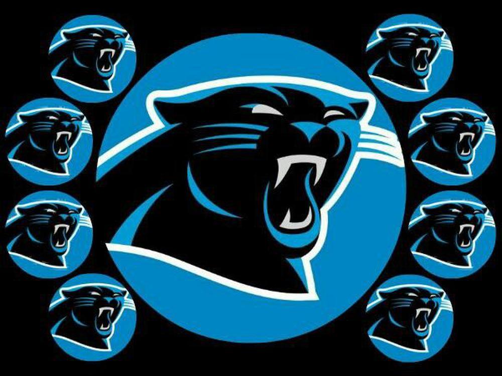 Carolina Panthers 5D Diamond Painting Kits MyCraftsGfit - Free 5D Diamond Painting mycraftsgift.com