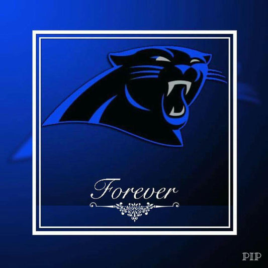 Carolina Panthers 5D Diamond Painting Kits MyCraftsGfit - Free 5D Diamond Painting mycraftsgift.com