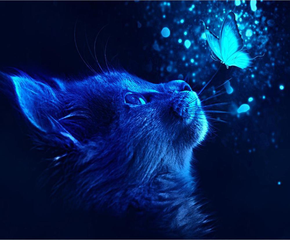 Free Cat - MyCraftsGfit - Free 5D Diamond Painting