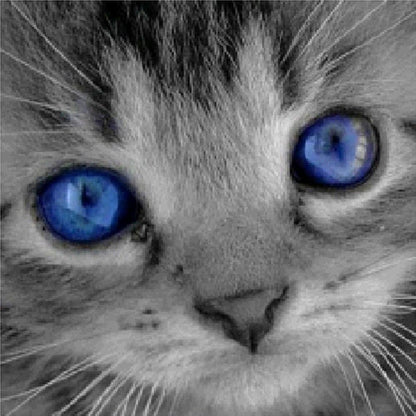 Free Cat - MyCraftsGfit - Free 5D Diamond Painting