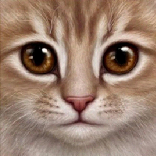 Free Cat - MyCraftsGfit - Free 5D Diamond Painting