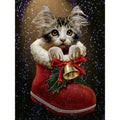 Cat in Shoe - MyCraftsGfit - Free 5D Diamond Painting