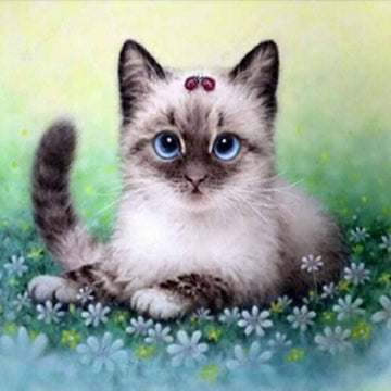 Cats - MyCraftsGfit - Free 5D Diamond Painting