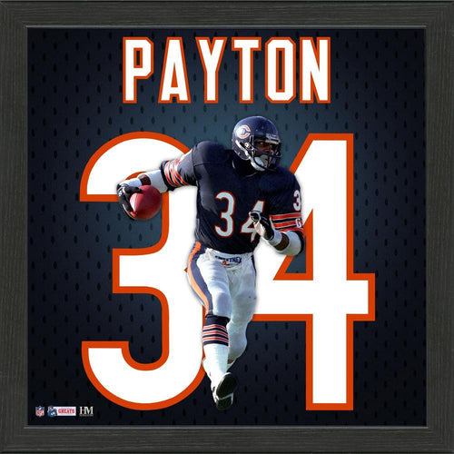 Chicago Bears 5D Diamond Painting Kits MyCraftsGfit - Free 5D Diamond Painting mycraftsgift.com