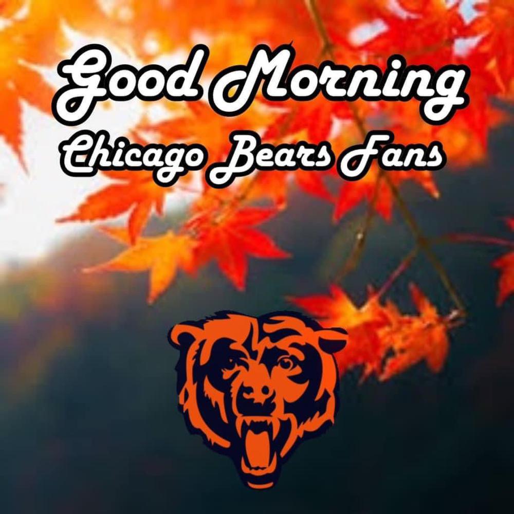 Free Chicago Bears - MyCraftsGfit - Free 5D Diamond Painting