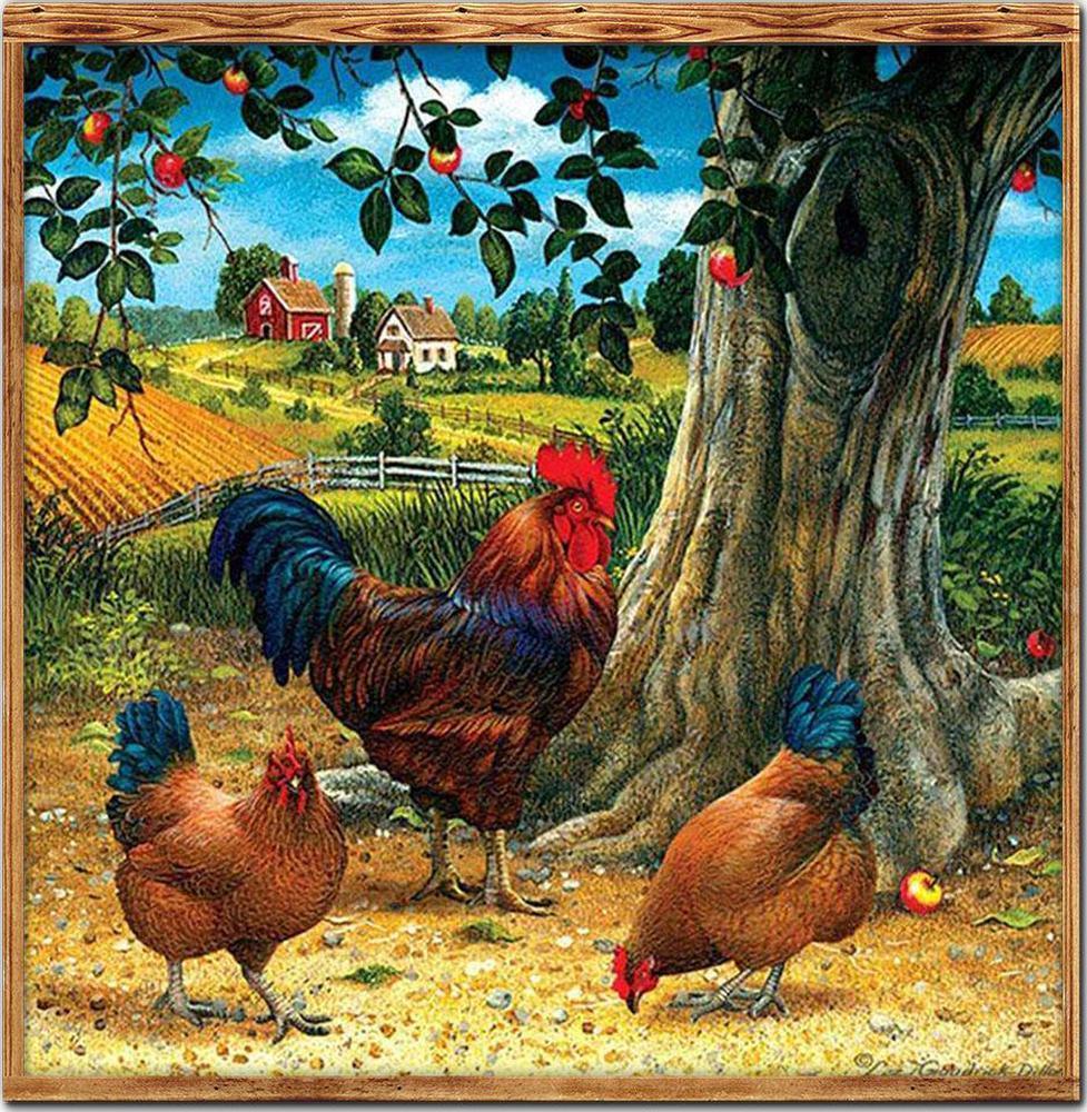 Chicken Free 5D Diamond Painting Kits MyCraftsGfit - Free 5D Diamond Painting mycraftsgift.com