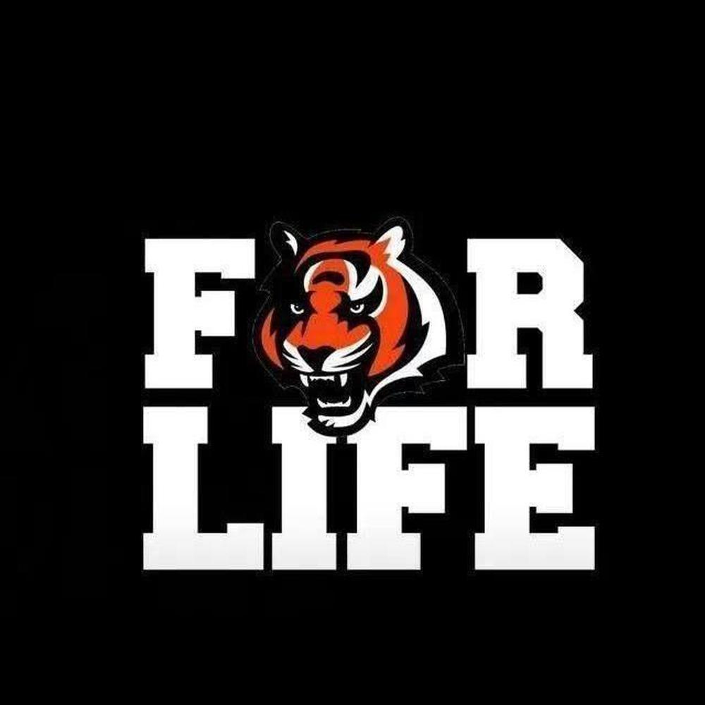 Free Cincinnati Bengals - MyCraftsGfit - Free 5D Diamond Painting