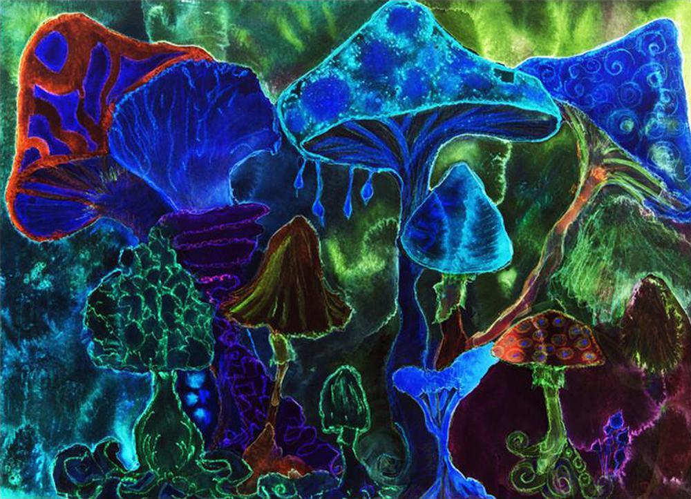 Colorful Mushrooms Free 5D Diamond Painting Kits MyCraftsGfit - Free 5D Diamond Painting mycraftsgift.com