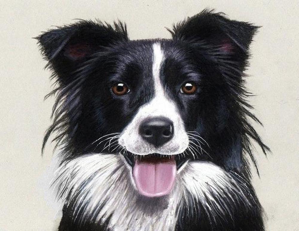 Free Cute Dog - MyCraftsGfit - Free 5D Diamond Painting