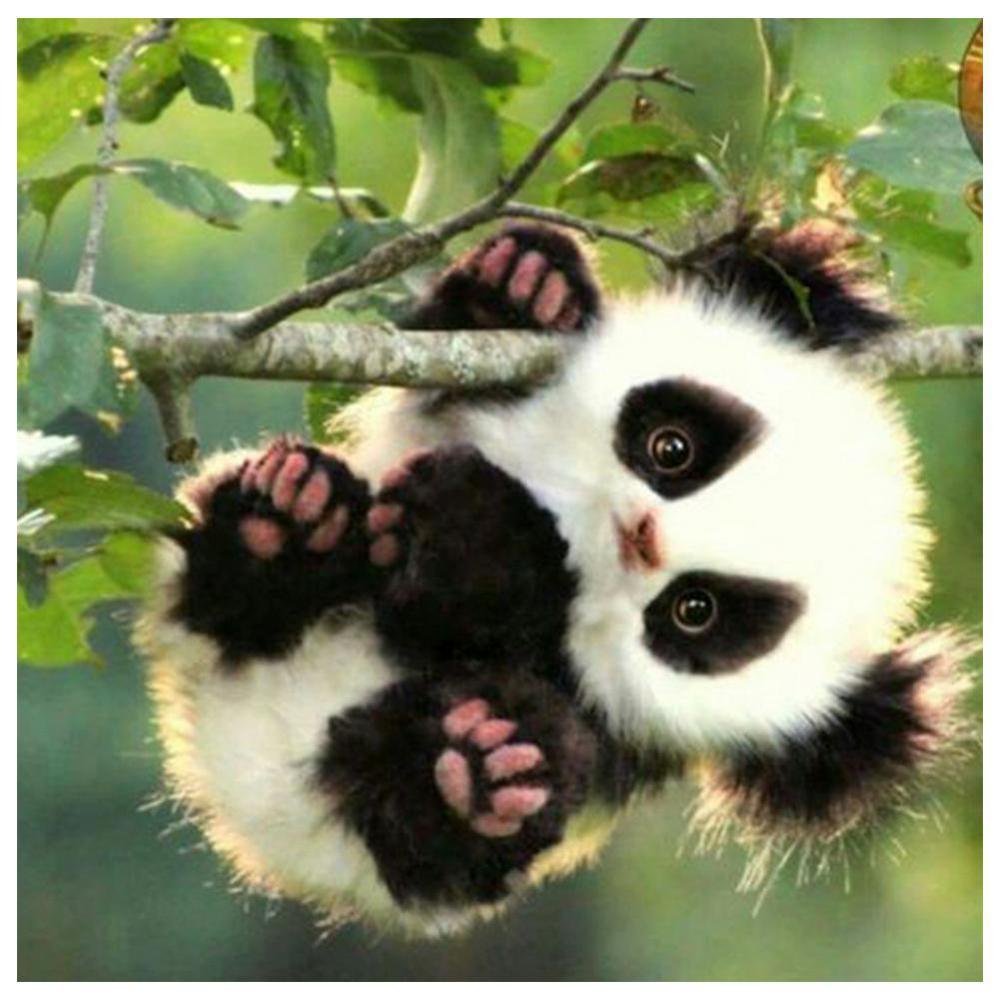 Free Cute Panda - MyCraftsGfit - Free 5D Diamond Painting