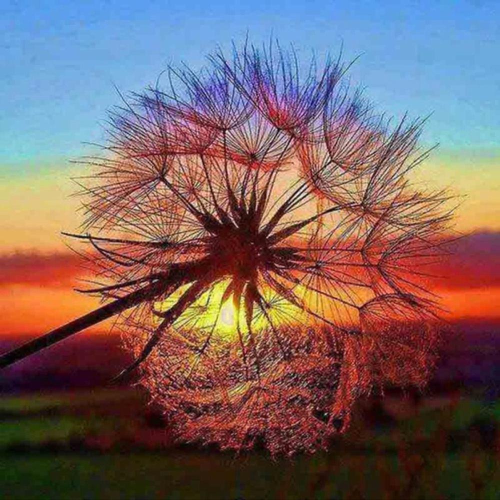 Free Dandelion - MyCraftsGfit - Free 5D Diamond Painting