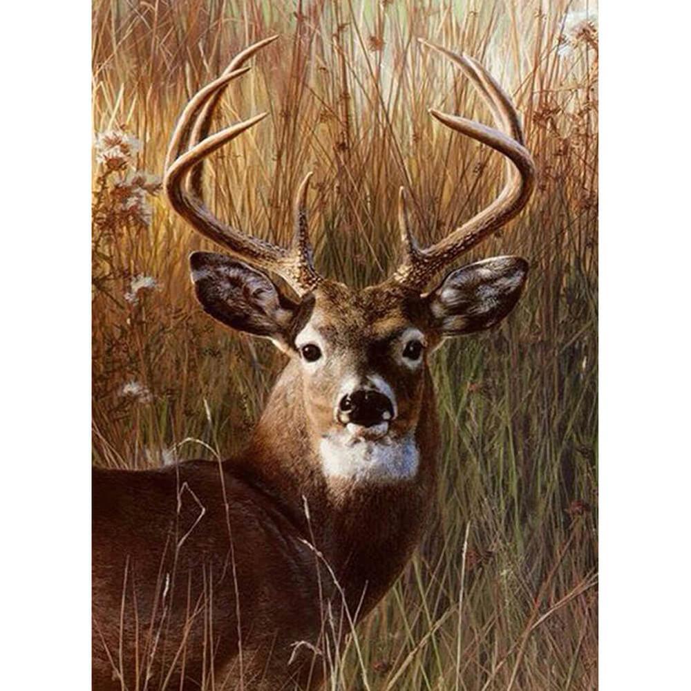 Deer - MyCraftsGfit - Free 5D Diamond Painting