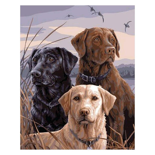 Dog - MyCraftsGfit - Free 5D Diamond Painting