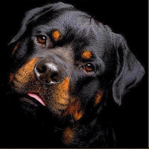 Free Dog - MyCraftsGfit - Free 5D Diamond Painting