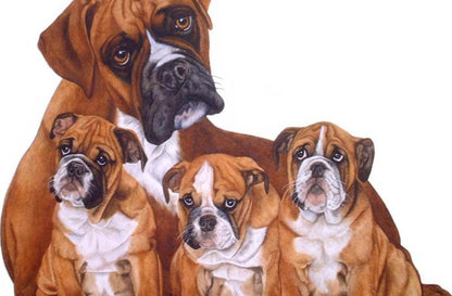 Dog Free 5D Diamond Painting Kits MyCraftsGfit - Free 5D Diamond Painting mycraftsgift.com