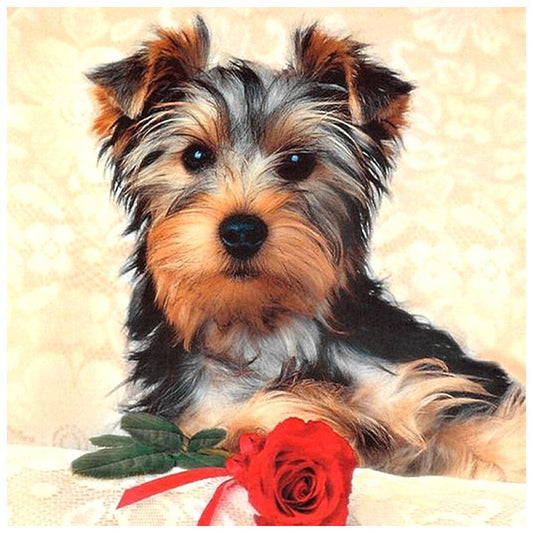 Dog - MyCraftsGfit - Free 5D Diamond Painting