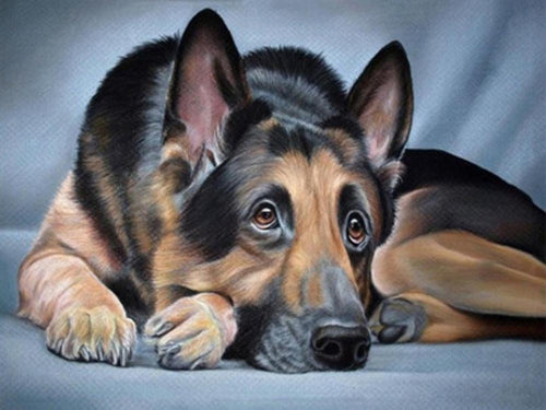 Free Dog - MyCraftsGfit - Free 5D Diamond Painting