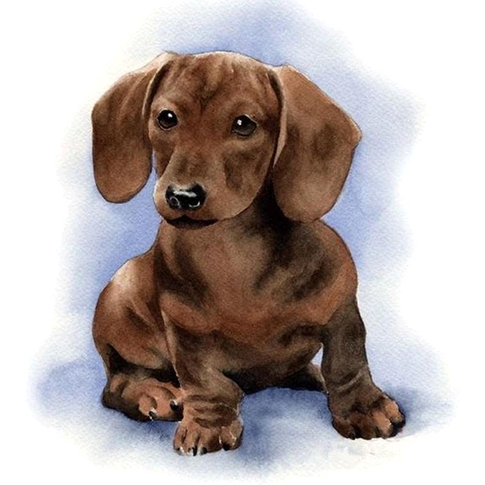 Free Dog - MyCraftsGfit - Free 5D Diamond Painting