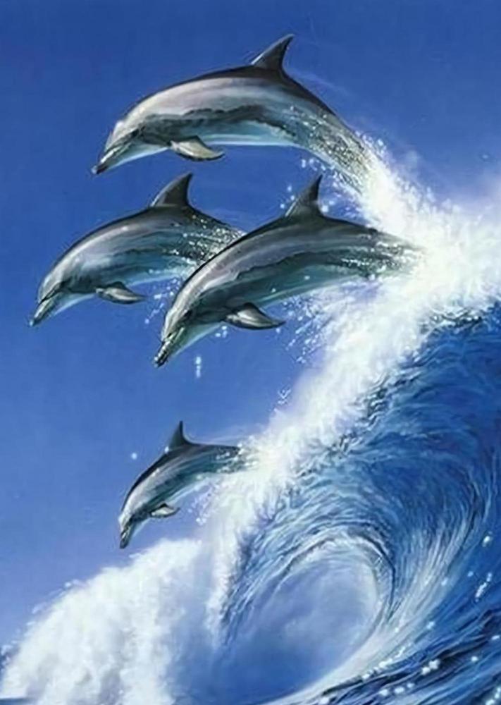 Free Dolphin - MyCraftsGfit - Free 5D Diamond Painting