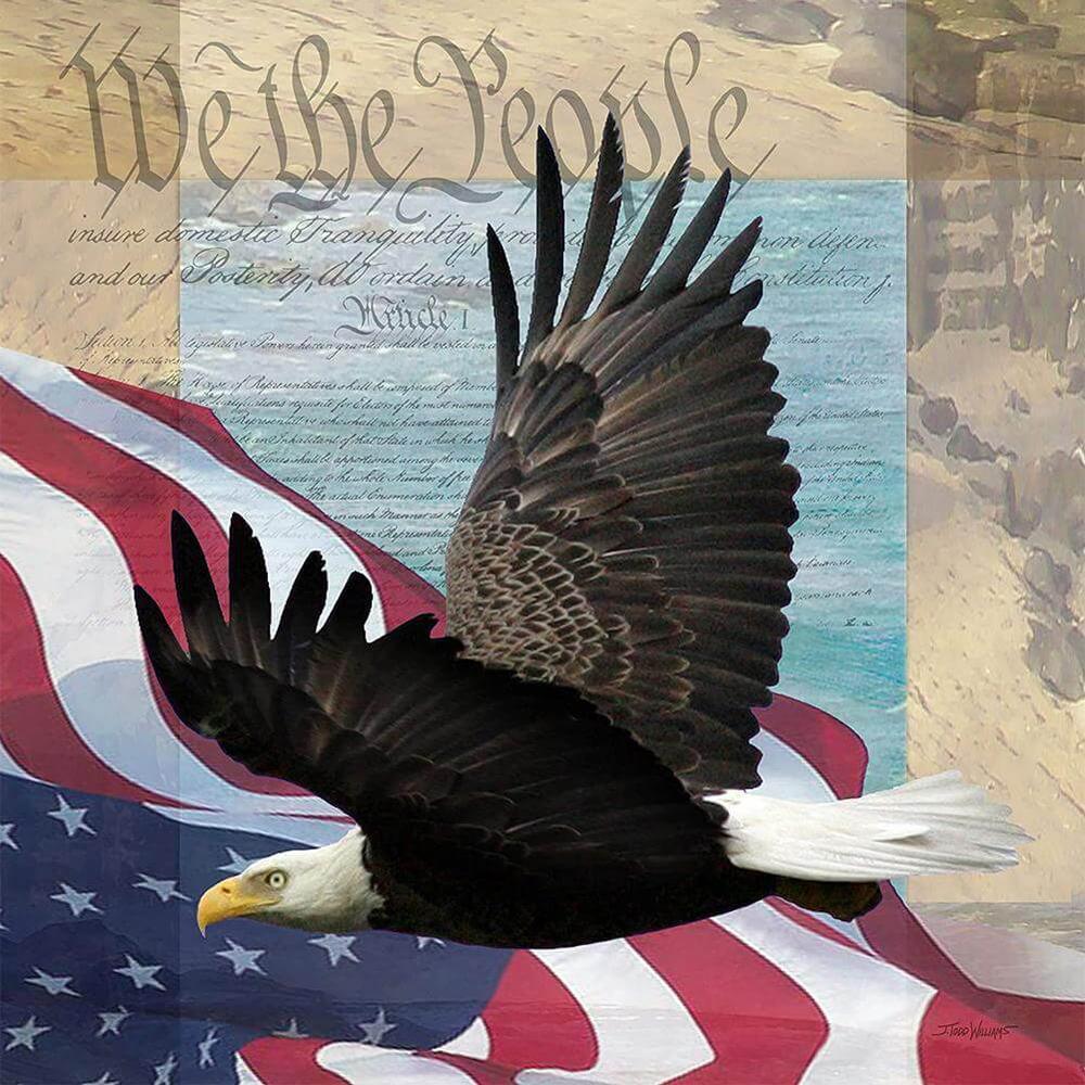 Free Eagle Flag - MyCraftsGfit - Free 5D Diamond Painting