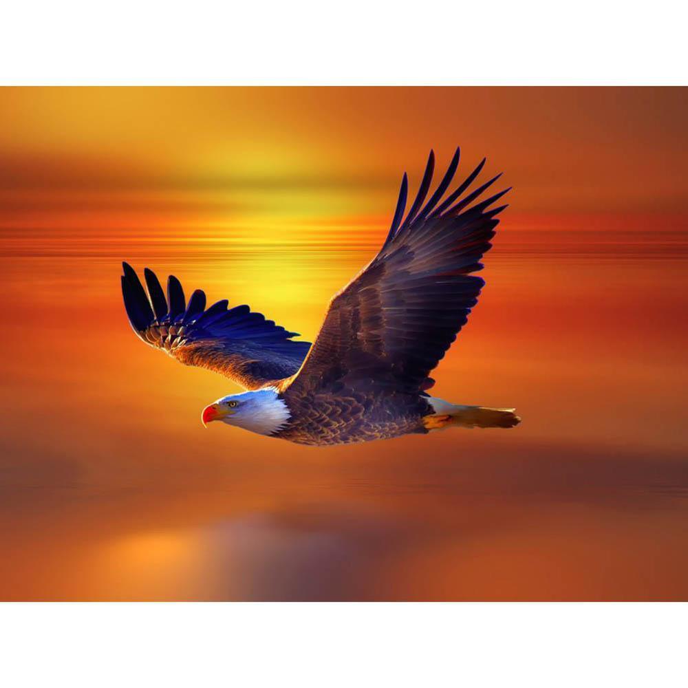 Free Eagle - MyCraftsGfit - Free 5D Diamond Painting