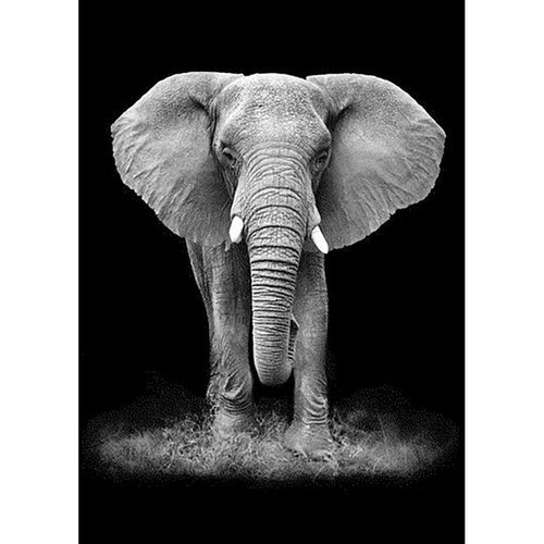 Free Elephant - MyCraftsGfit - Free 5D Diamond Painting