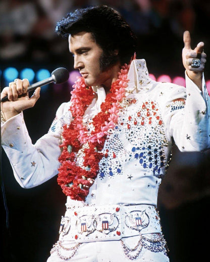 Elvis Presley Free 5D Diamond Painting Kits MyCraftsGfit - Free 5D Diamond Painting mycraftsgift.com