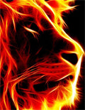 Flame Lion Free 5D Diamond Painting Kits MyCraftsGfit - Free 5D Diamond Painting mycraftsgift.com