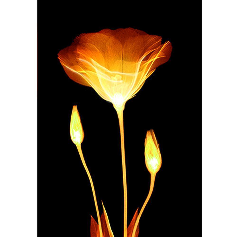 Free Flower - MyCraftsGfit - Free 5D Diamond Painting