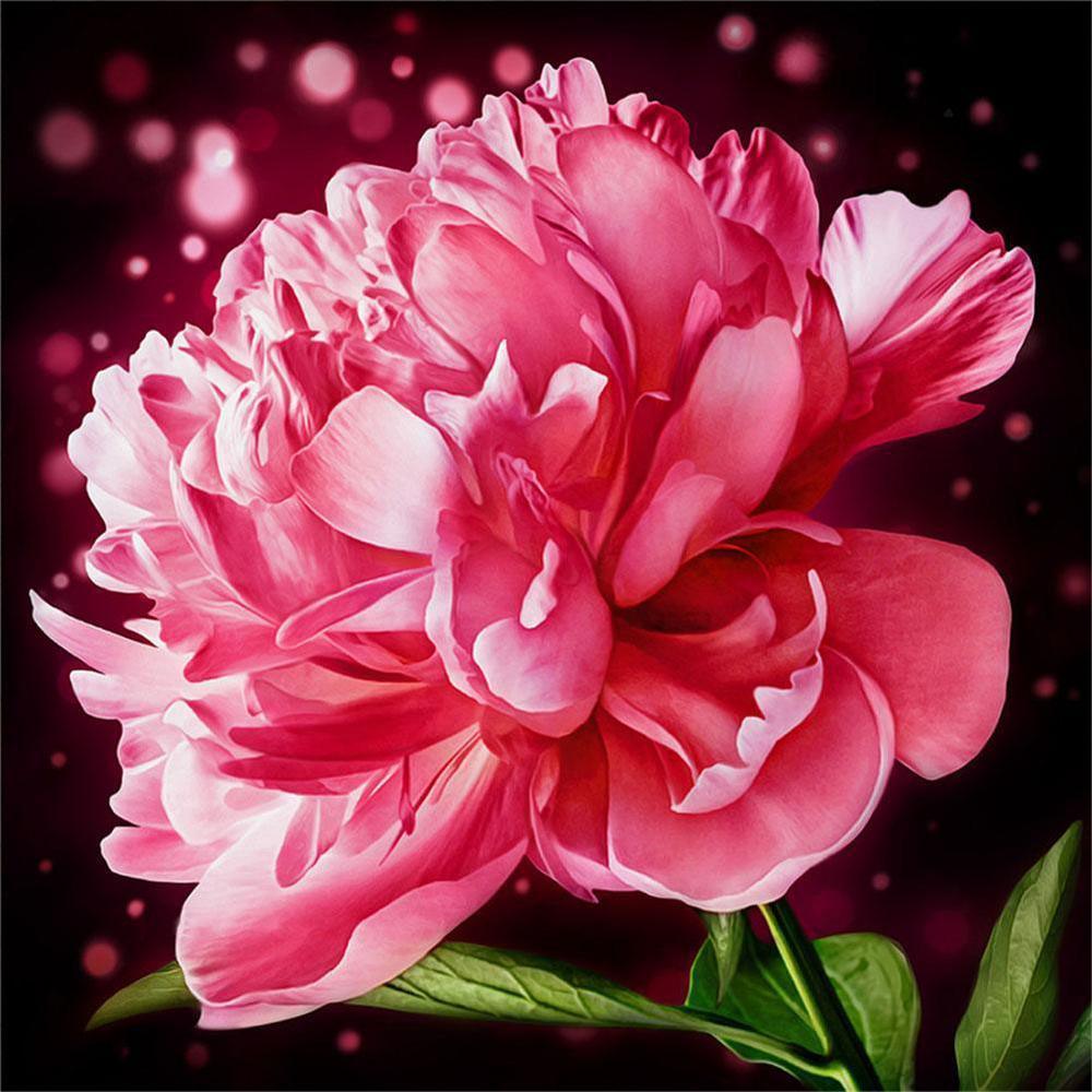 Flowers Free 5D Diamond Painting Kits MyCraftsGfit - Free 5D Diamond Painting mycraftsgift.com