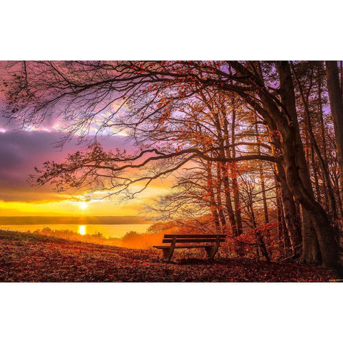 Free Forest Sunset - MyCraftsGfit - Free 5D Diamond Painting